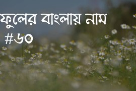 60+ Flowers Name In Bengali (৬০+ ফুলের বাংলায় নাম)